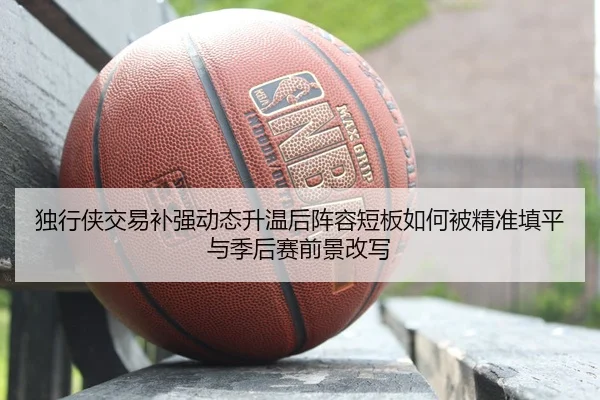 独行侠交易补强动态升温后阵容短板如何被精准填平与季后赛前景改写